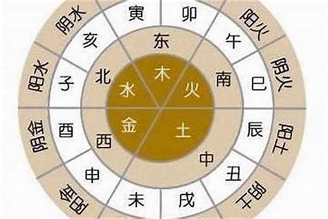 金木水火土 年份|用出生年查询五行